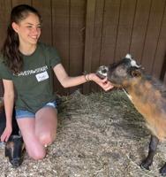 More good news from PAWS Farm: Mount Laurel nature site will open weekends through the summer.