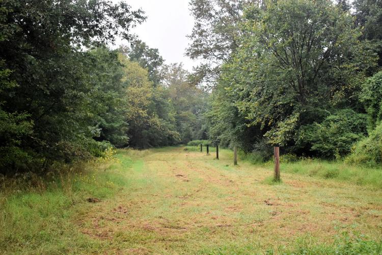 BEAGLE CLUB TOWNSHIP PHOTO