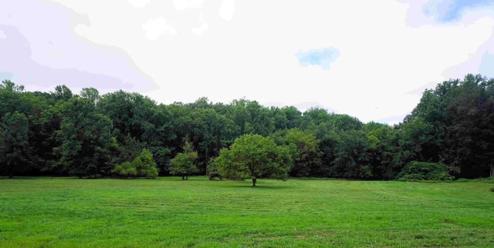 XXXOLD ORCHARD TRAIL 2.jpg