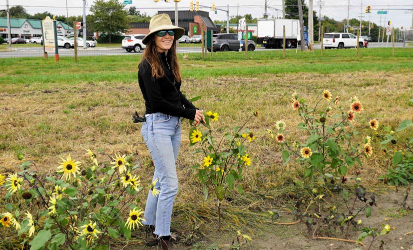 xxxSUNFLOWERS.JPG