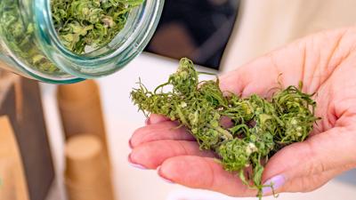 07102023 CANNABIS BUDS