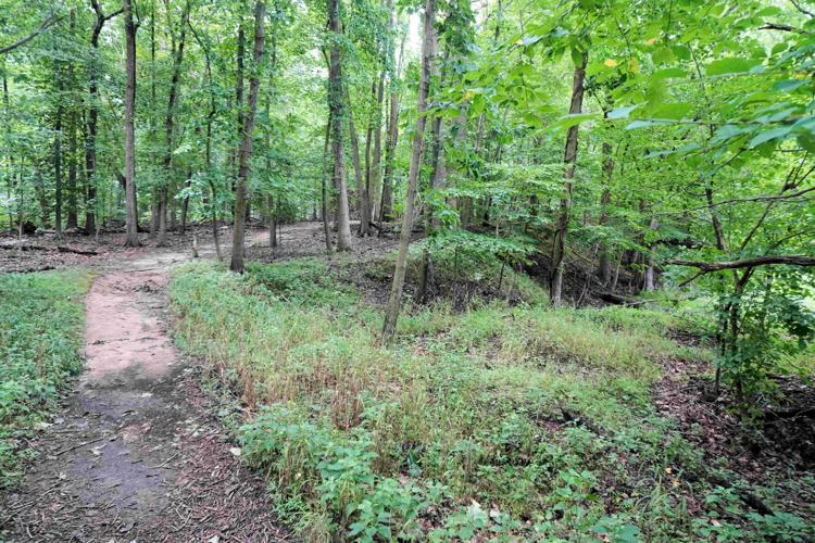 XXXOLD ORCHARD TRAIL 1.jpg