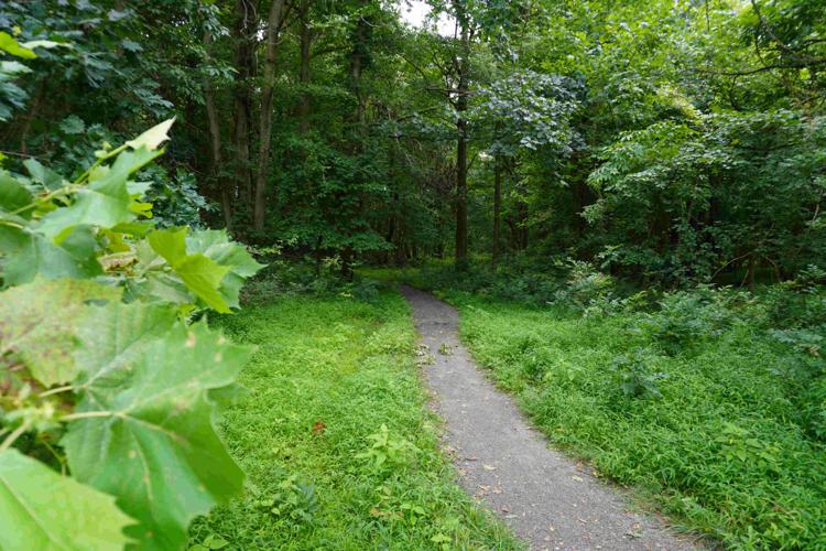 XXXOLD ORCHARD TRAIL 5.jpg