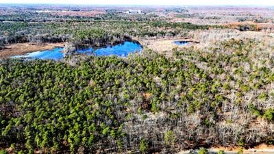 12012025_E_BLACK RUN DRONE VIEW.jpg