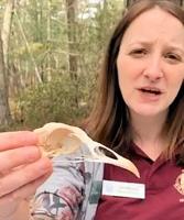 Your kids can go back to nature. At least virtually, with Woodford Cedar Run.