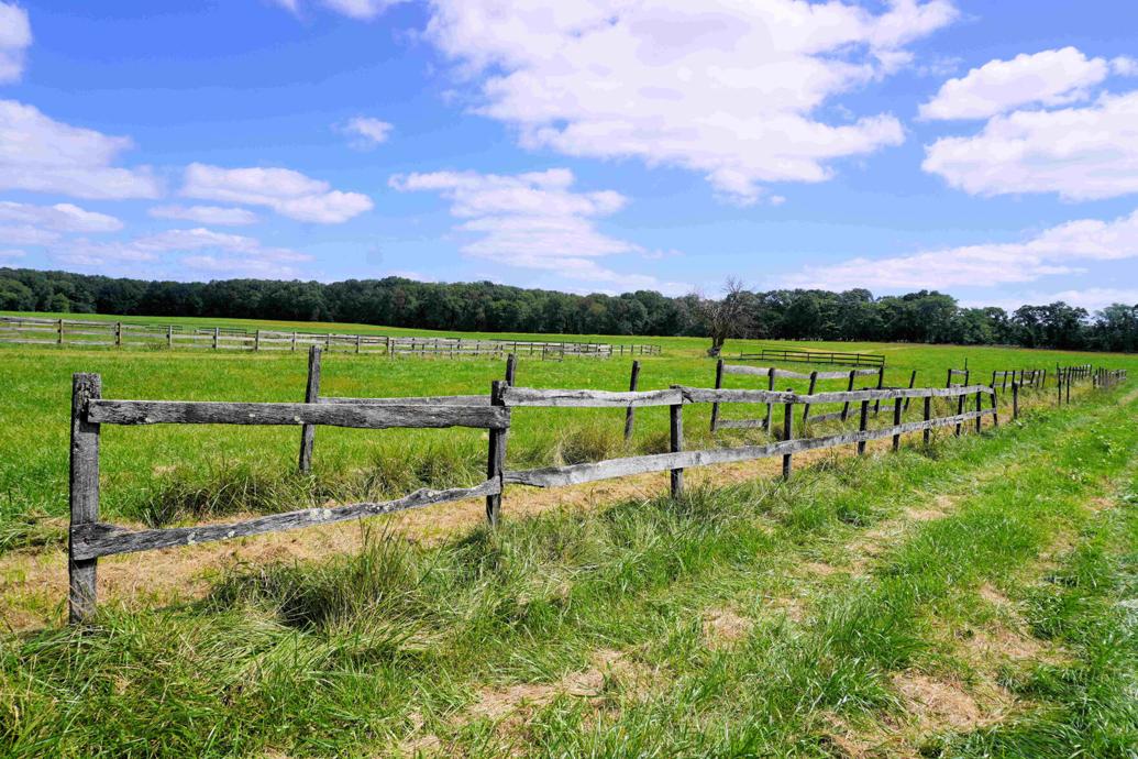 Meet the new owner of the historic 248yearold Stafford Farm in