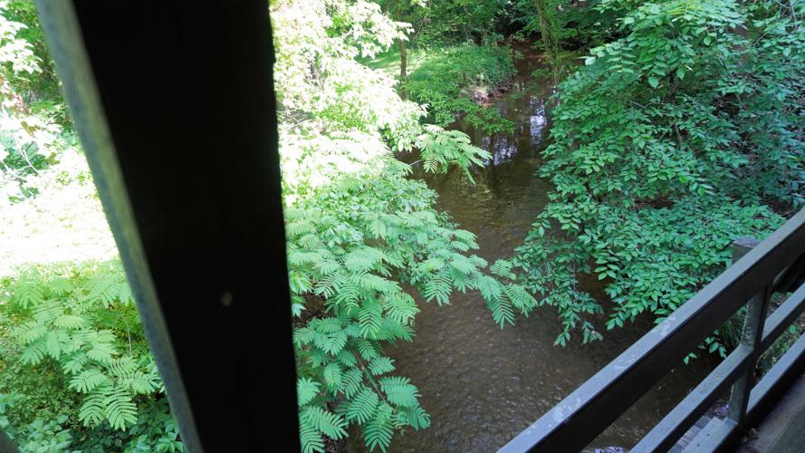 06292022 COVERED BRIDGE CREEK