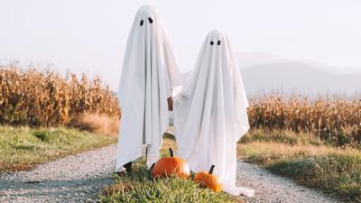 Halloween Ghost Costume Pic