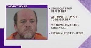 Steve's Stupid Criminals - Vimarsana News