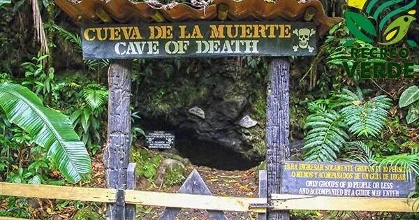 The Cave of Death AKA La Cueva De La Muerte ... - Vimarsana News