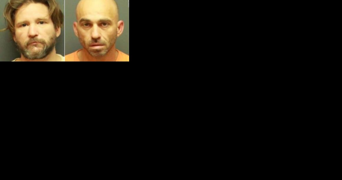 Steve's Stupid Criminals - Vimarsana News