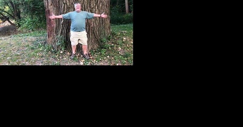 Search is on for Michigan's largest trees - Vimarsana News
