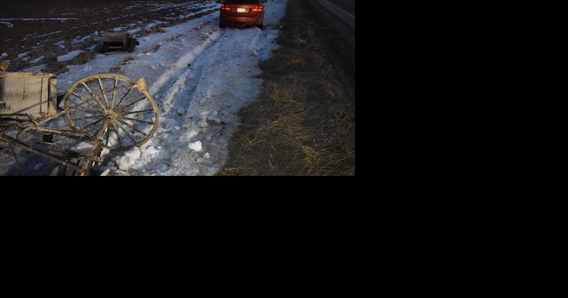 Amish man hospitalized, horse dies after buggy crash near Gladwin ...