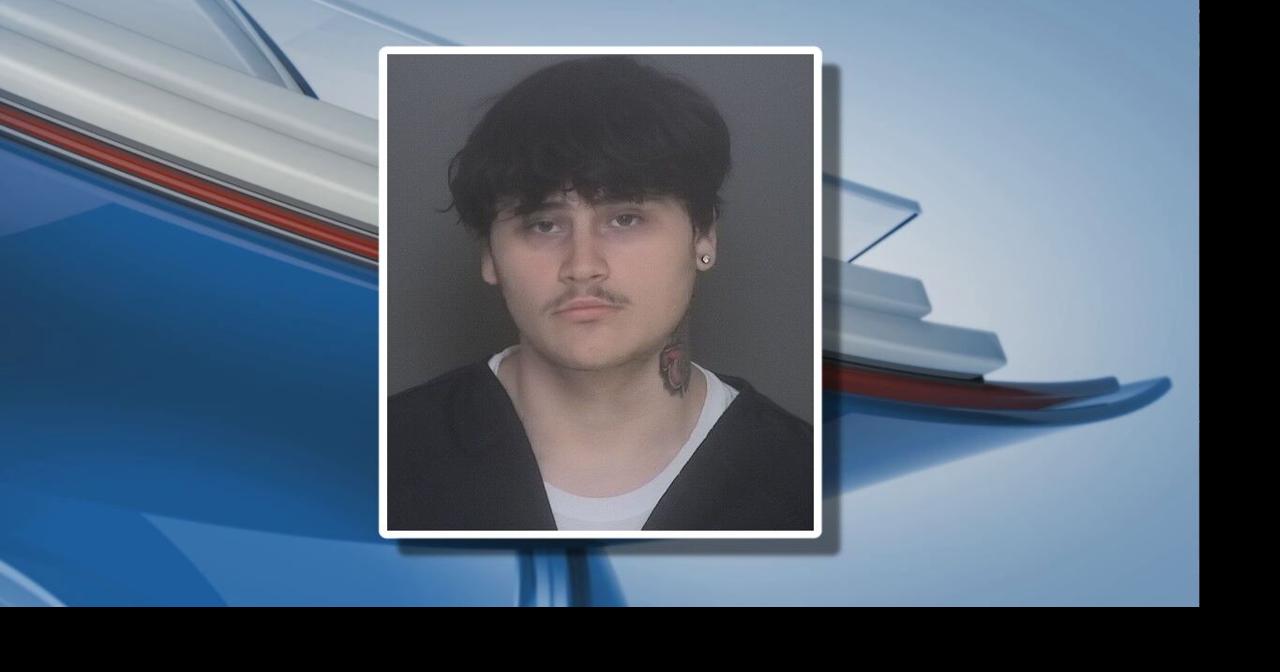 North Branch foot chase ends with teen arrested on stolen gun charges ...