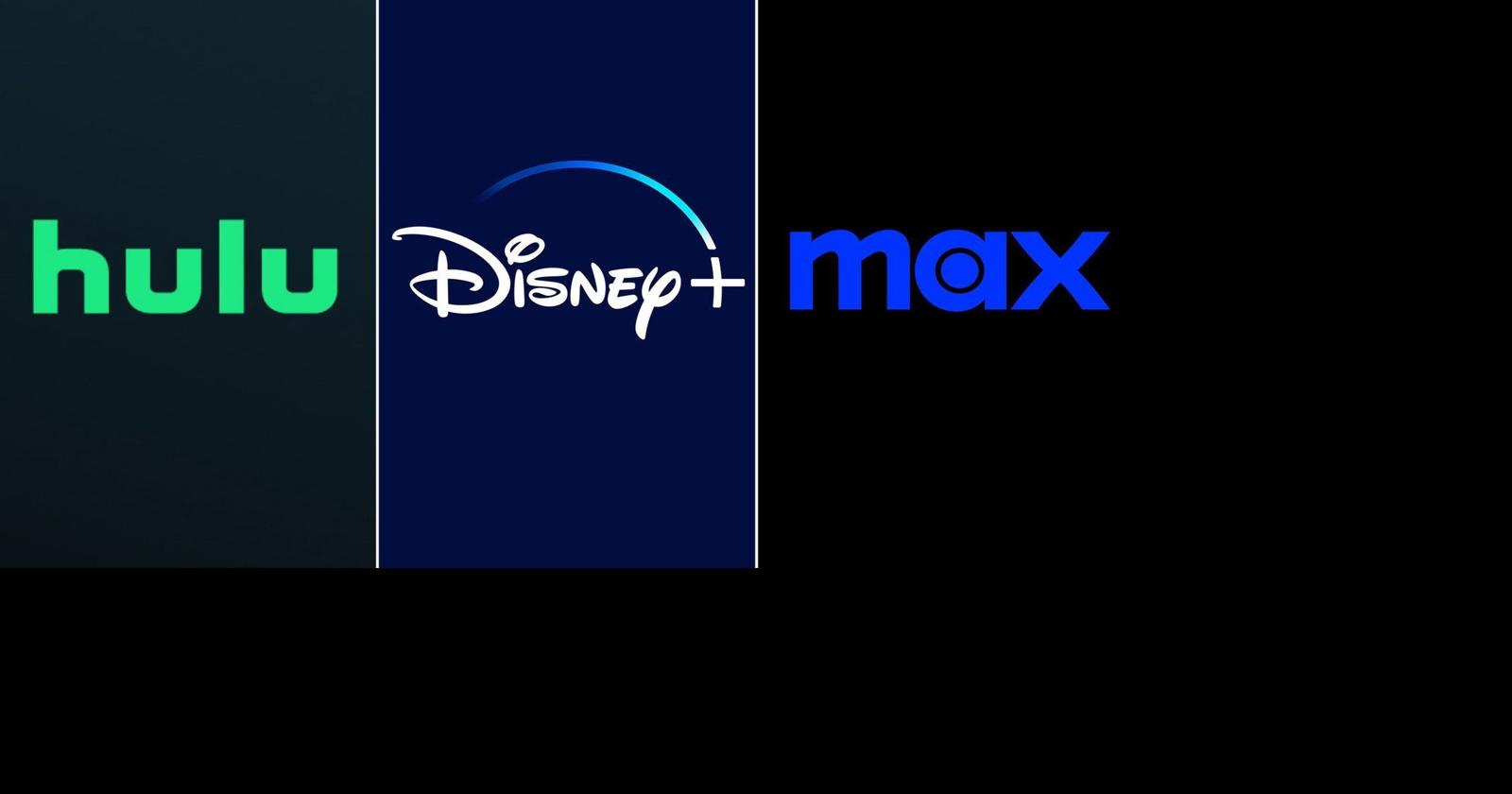 Disney’s streaming business is profitable, but U.S. park business slowing | Business