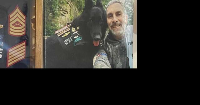'She saved my life': Veteran shares importance of having a service dog - Vimarsana News