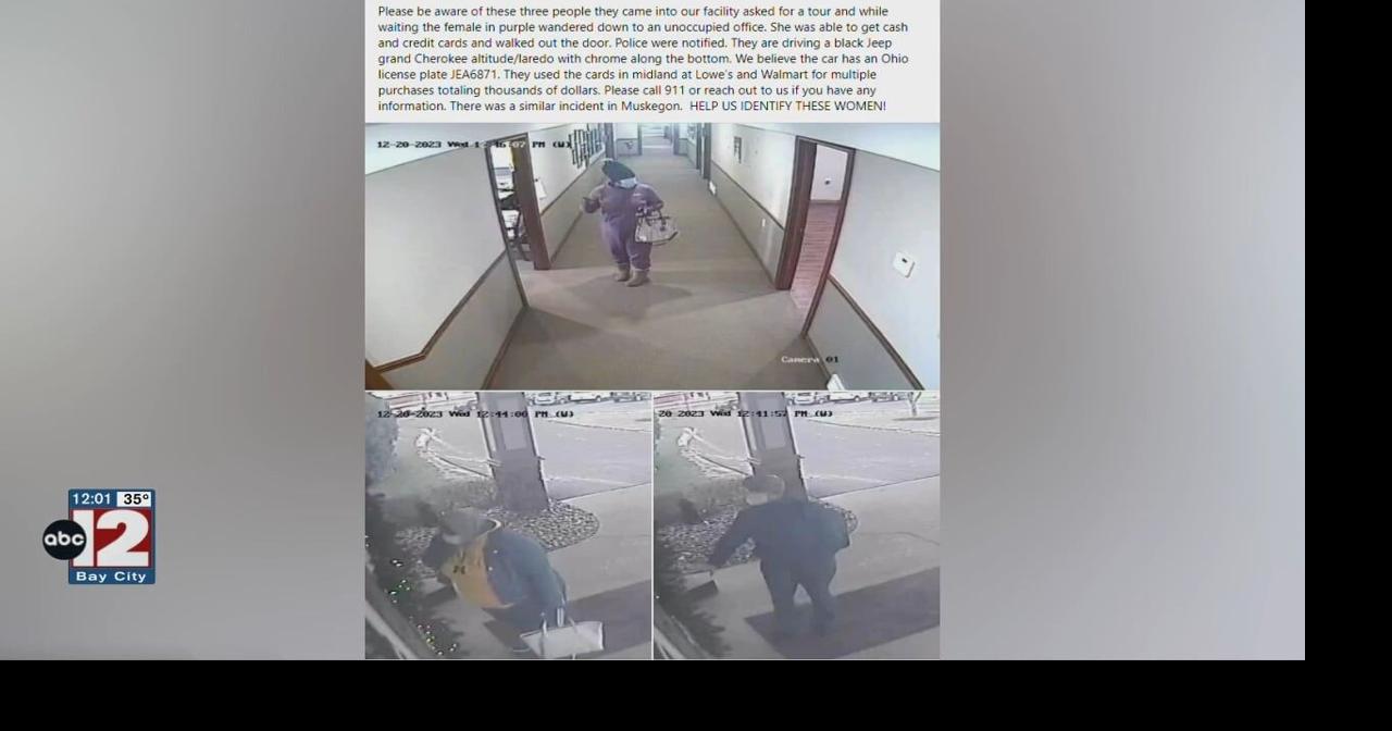 Women accused of stealing credit cards in Saginaw County | Crime ...