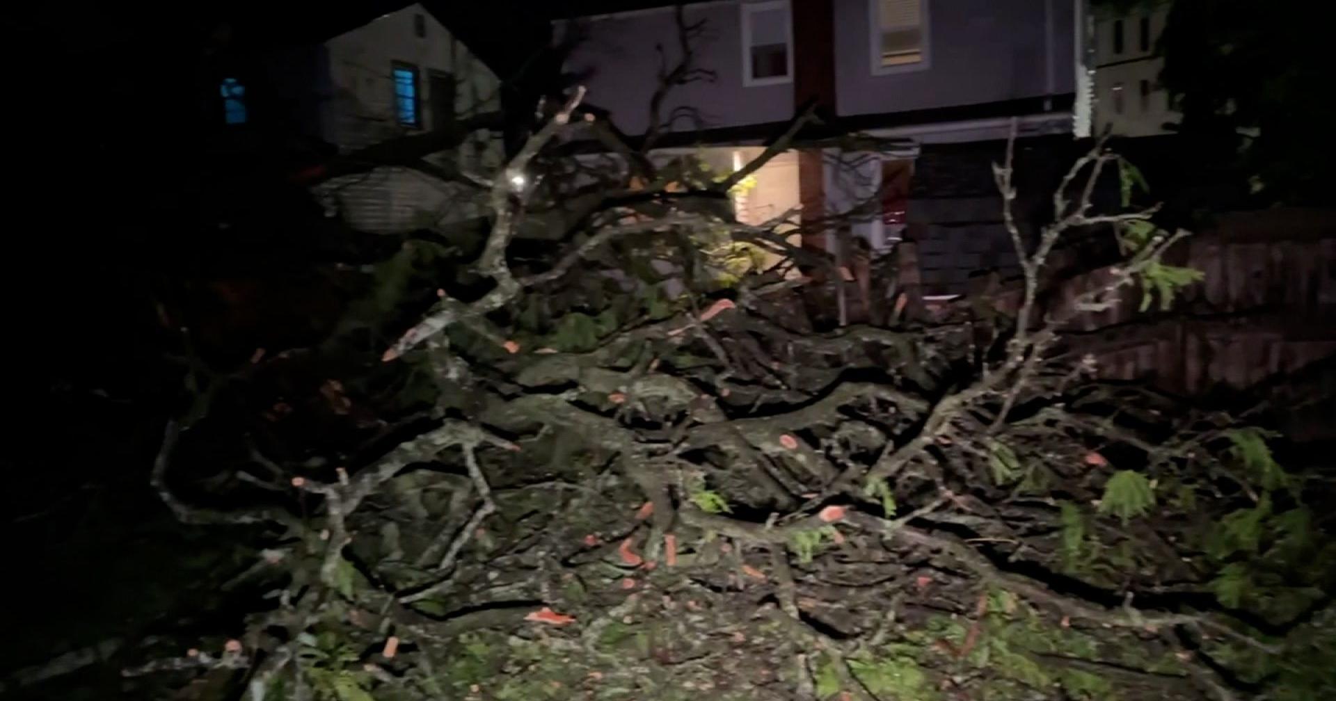 At least five killed in severe storms in Michigan - Vimarsana News