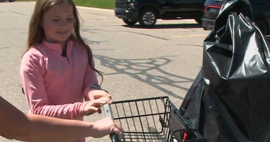 Young Goodrich girl collects $700 in cans for Dimes for Diapers - Vimarsana News