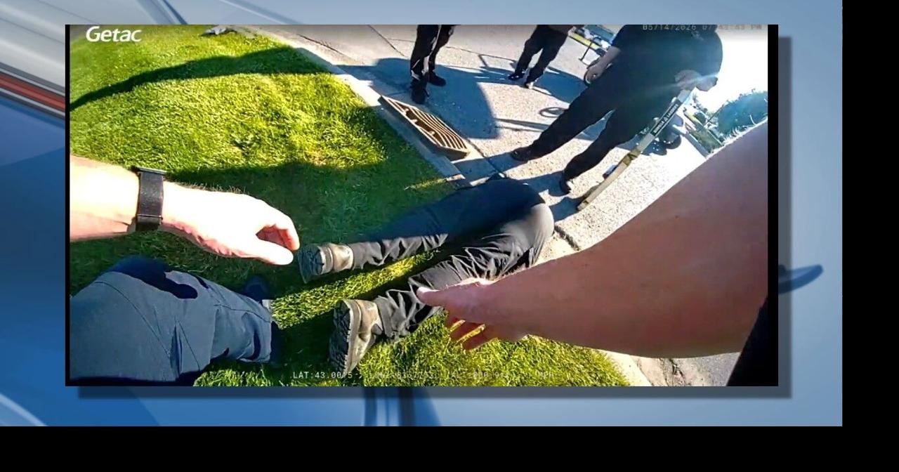 11 ducklings saved from storm drain by unlikely rescue team | Local ...