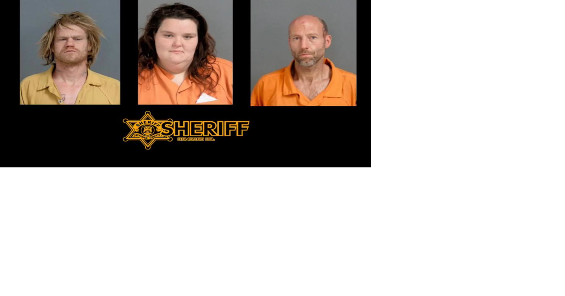 Three Flint adults charged with child and animal abuse | Crime | abc12.com