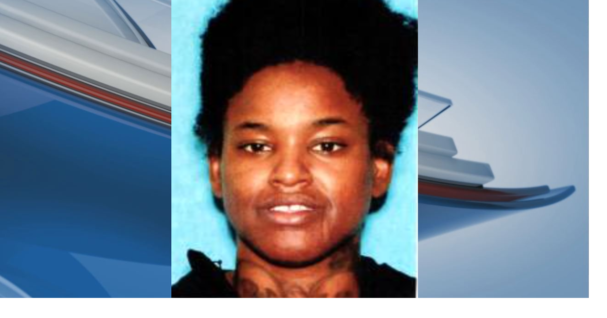 Flint Police Department asking for help finding a missing woman | Local ...