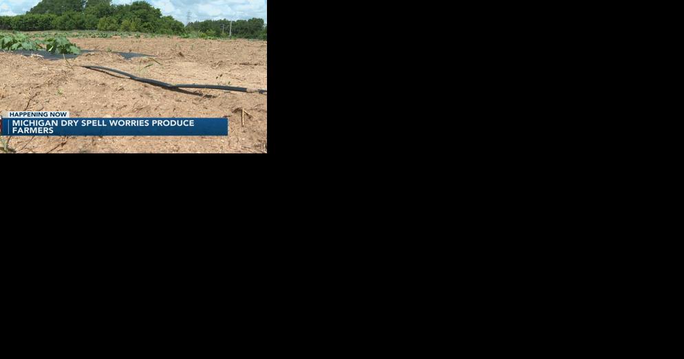 Dry spell puts Michigan farmers in a pinch - Vimarsana News