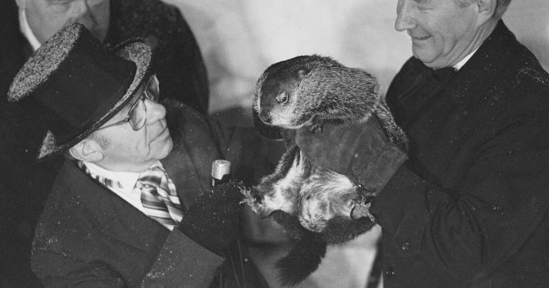 The bizarre history of Groundhog Day - Vimarsana News