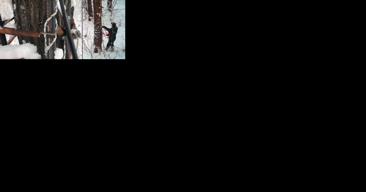 Northern Michigan hunter admits to sabotaging tree stand - Vimarsana News