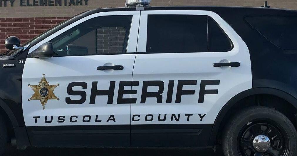 Tuscola County deputy hospitalized after crash during traffic stop - Vimarsana News