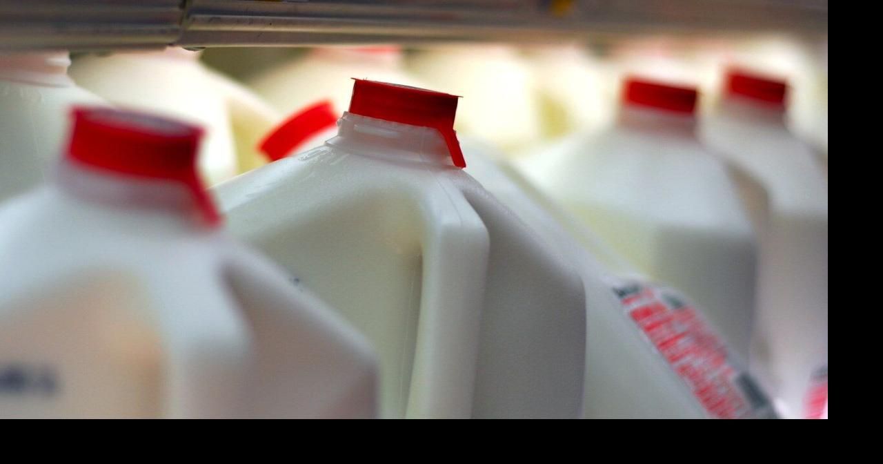 New business investing $56 million in Fenton to make plant-based milk