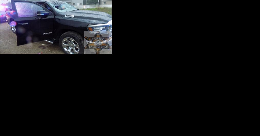 Lapeer mother killed when falling tree crashes through windshield - Vimarsana News