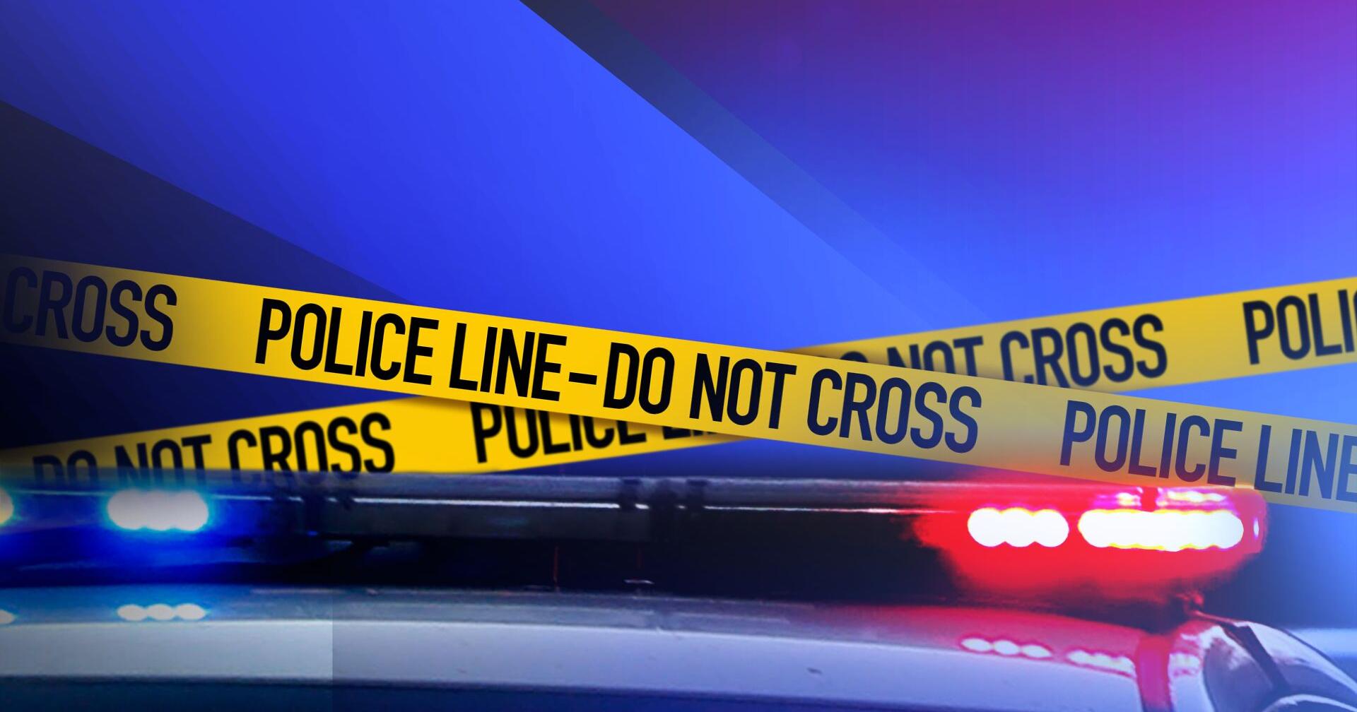 Mt. Pleasant Police investigating pedestrian fatality - Vimarsana News