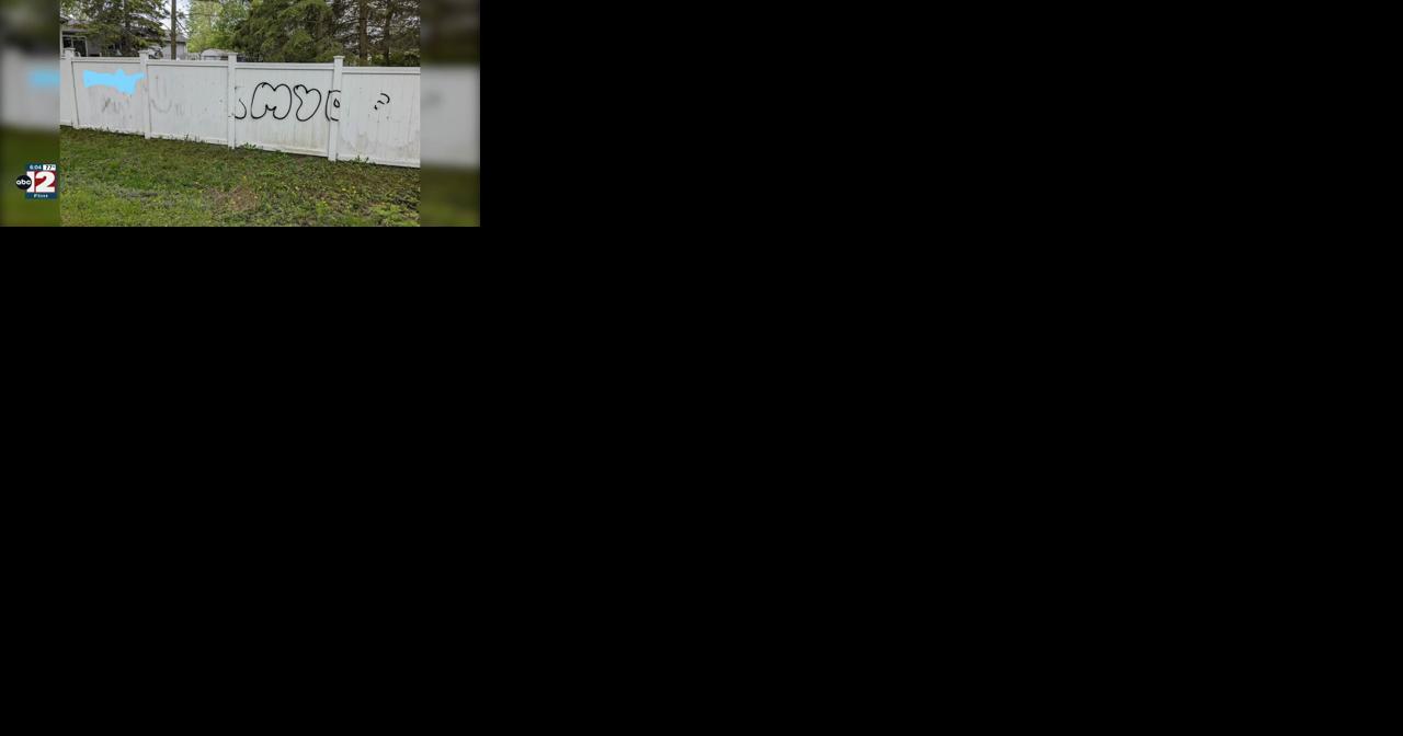 Police investigating vandalism at Bay City's Carroll Park, rail trail - Vimarsana News