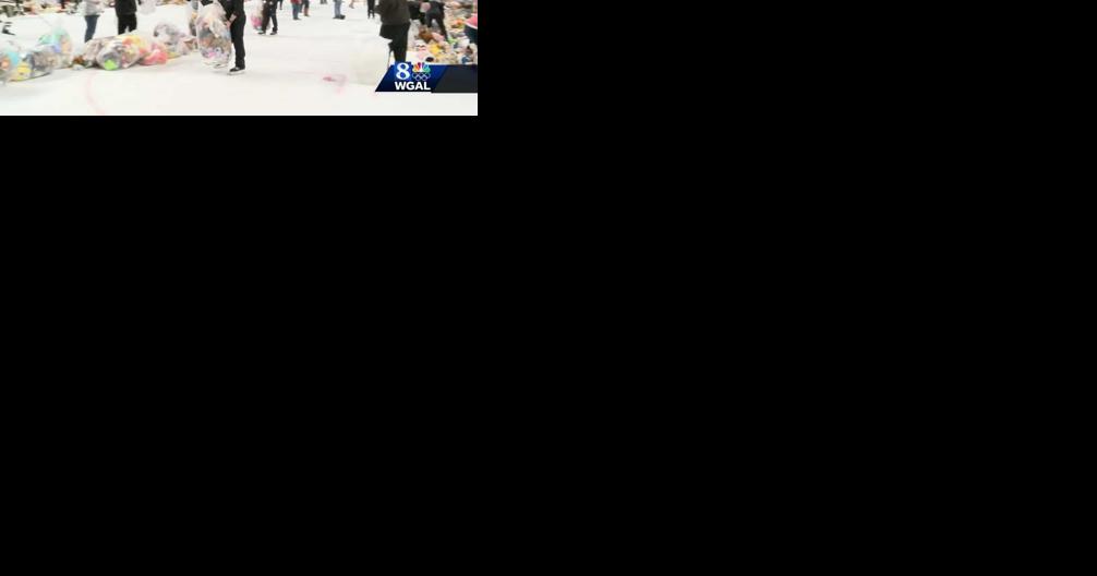 Teddy bear toss in Hershey sets new record - Vimarsana News