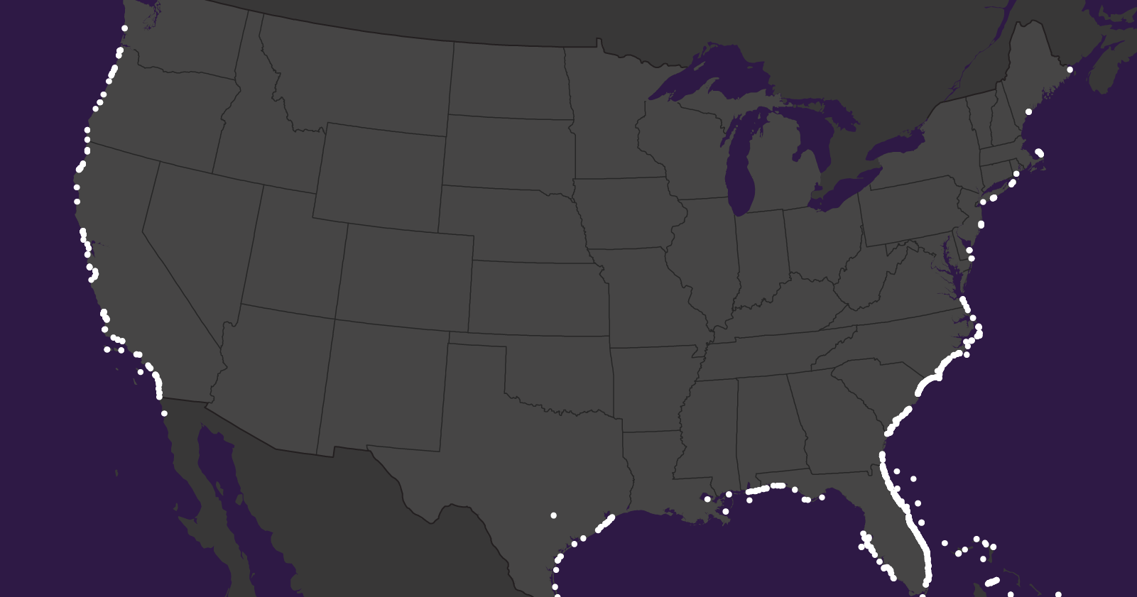 See where shark attacks are happening across the US - Vimarsana News