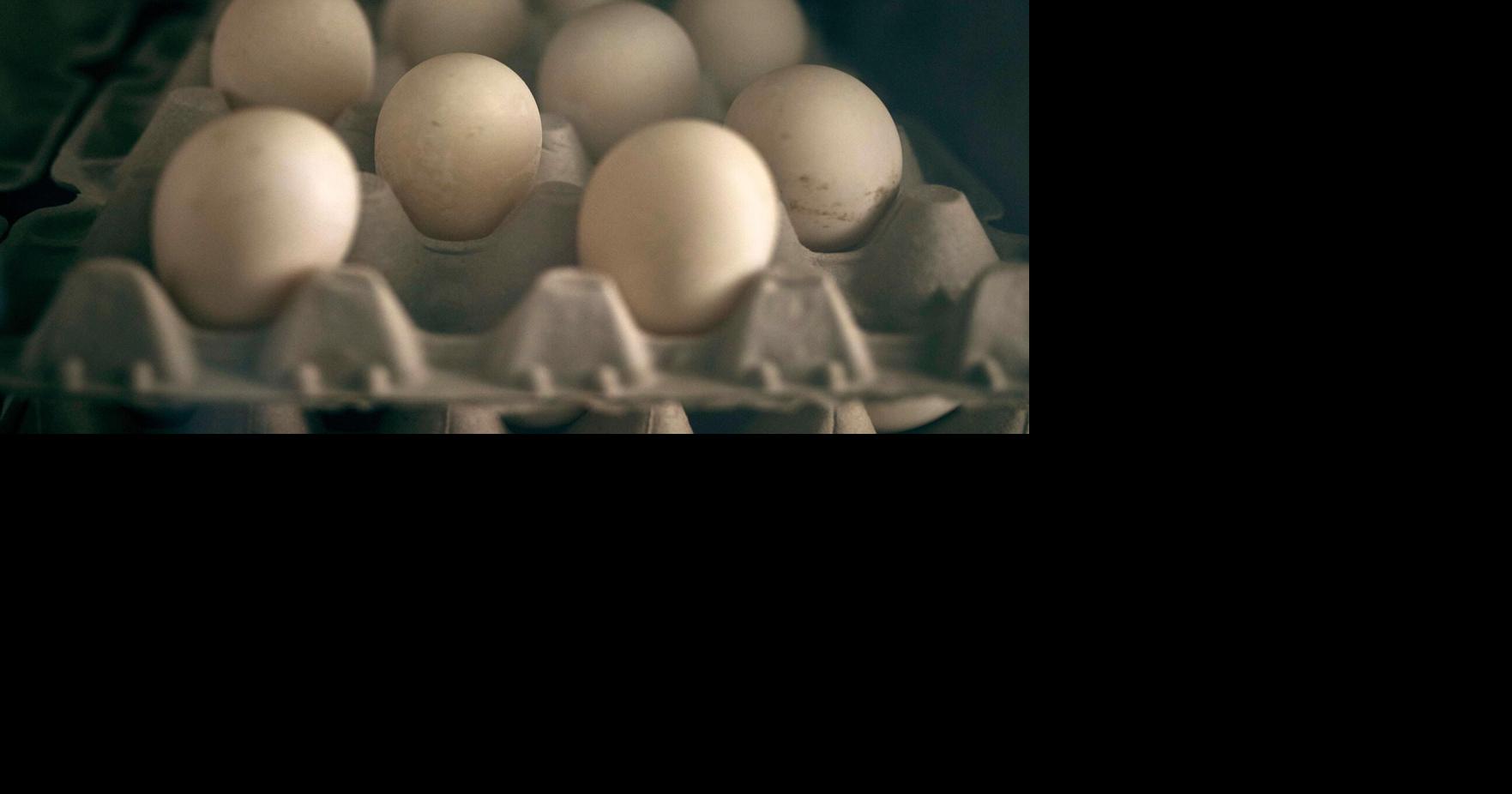 USDA details new plan to tackle bird flu and lower egg prices ...