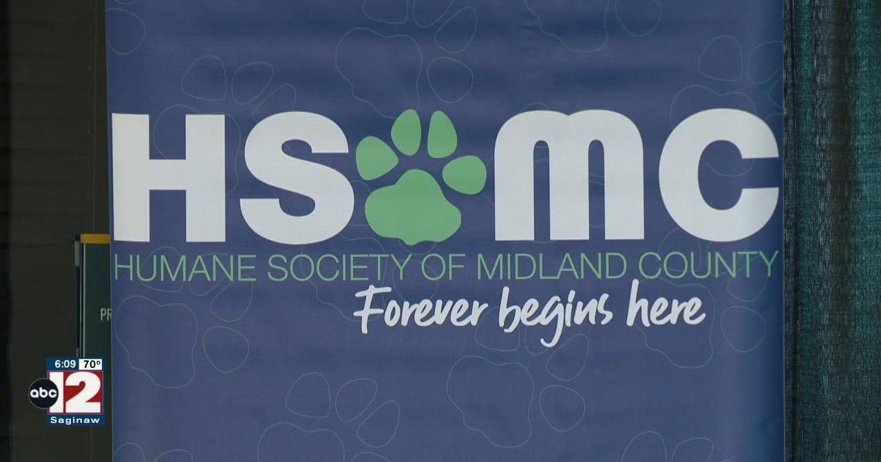 Humane Society of Midland County held its Paws for a Cause luncheon - Vimarsana News