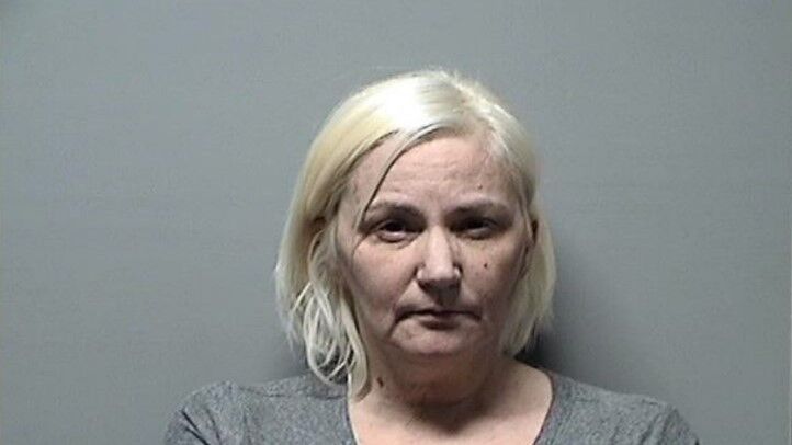 Owosso Woman Pleads Guilty To Embezzling Money From Employer | Crime ...