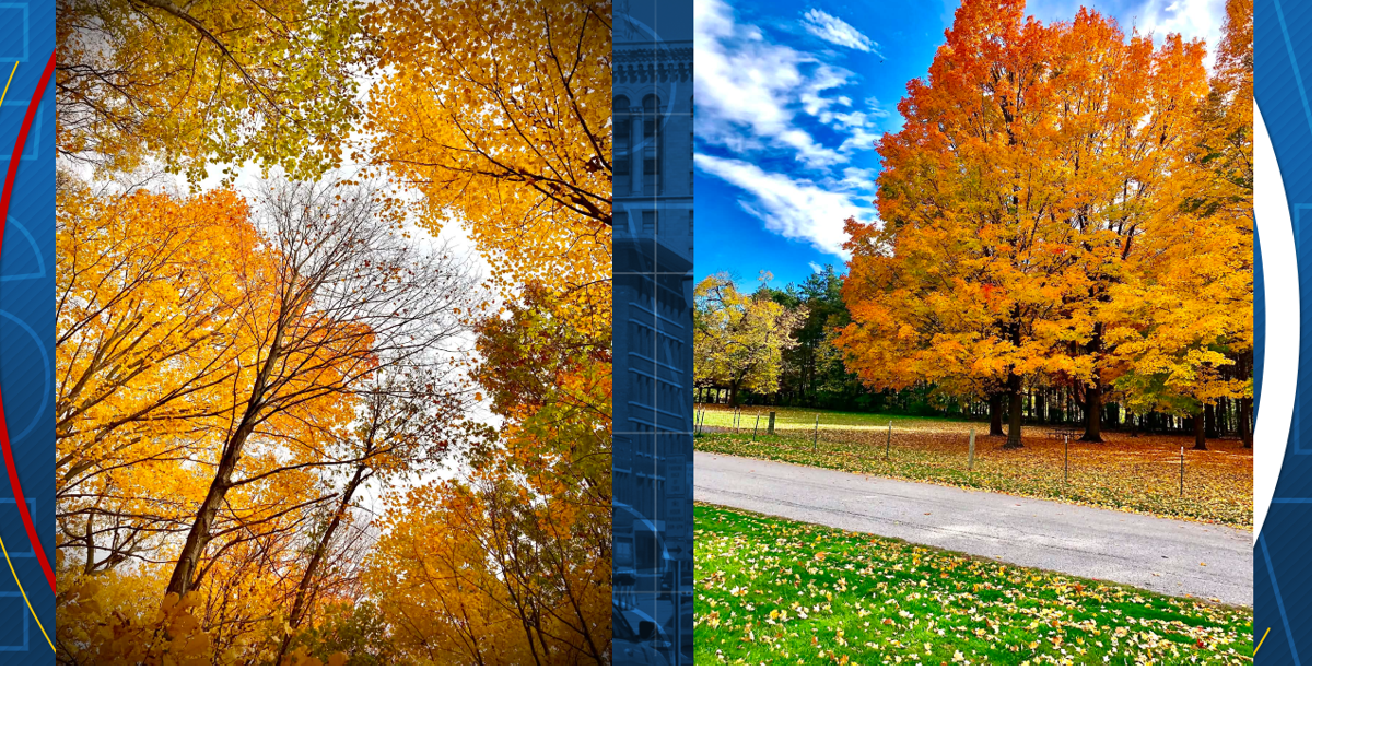 Michigan agency releases the best roads to drive to see fall colors ...