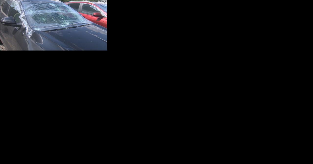 Hail damage leads to rush of windshield replacements in Davison - Vimarsana News