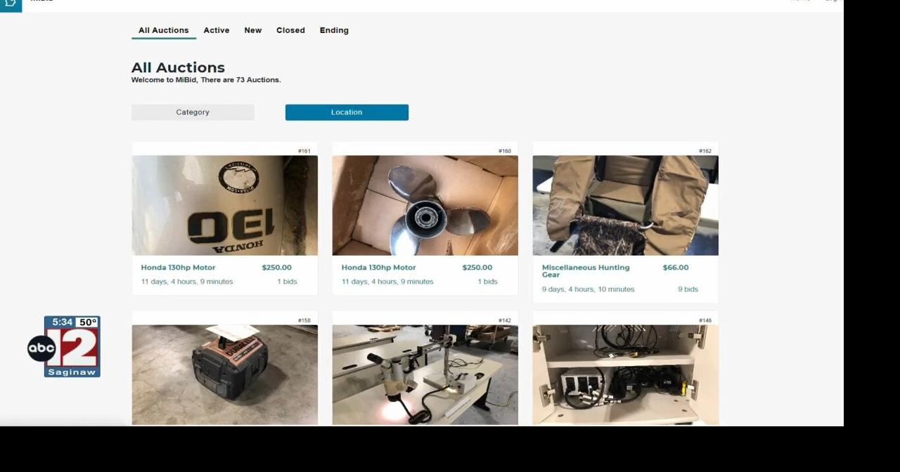 State of Michigan launches surplus website | Video | abc12.com