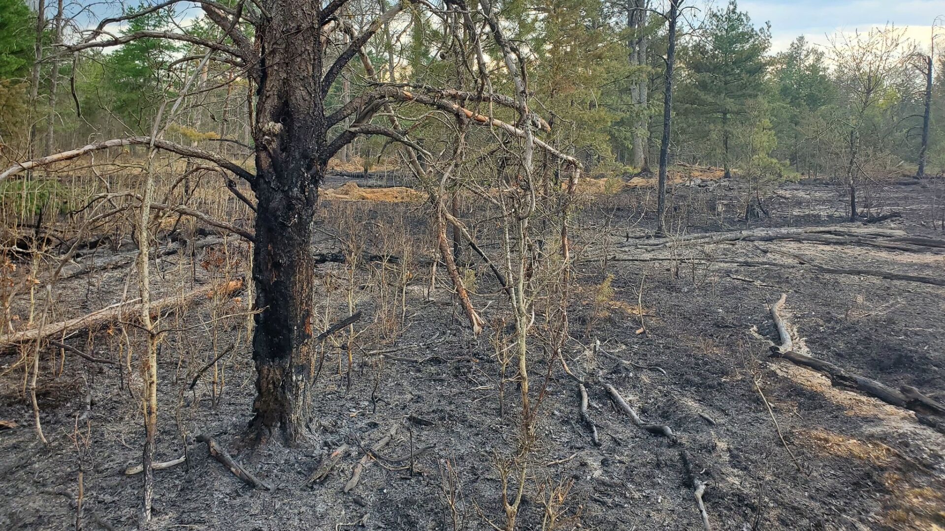 omer michigan forest fire omer michigan forest fire