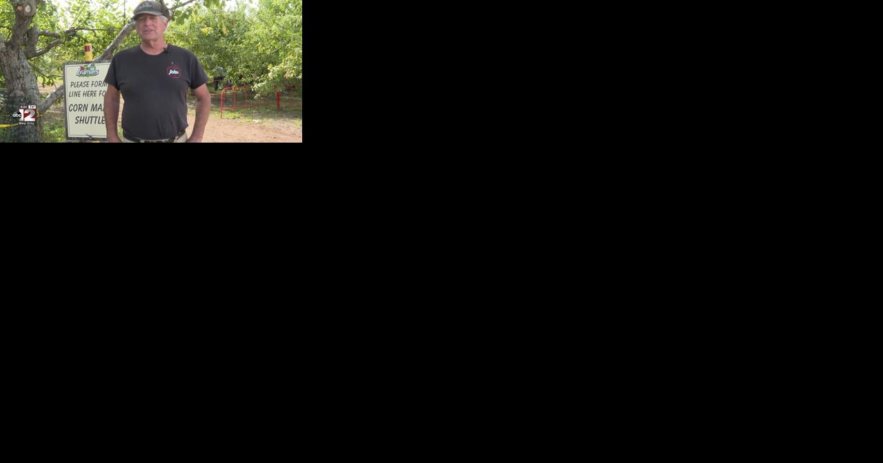 Abundant apple crop harvesting quality and quantity - Vimarsana News