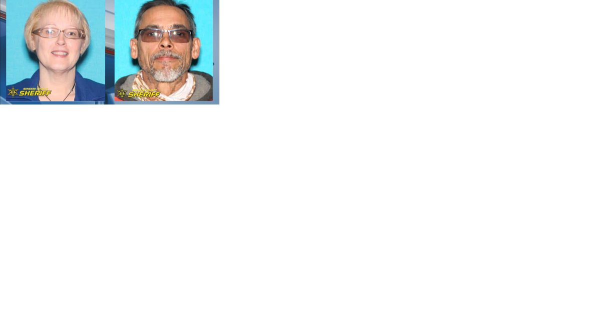 Sheriff: Missing man commits suicide near Flushing, woman missing - Vimarsana News