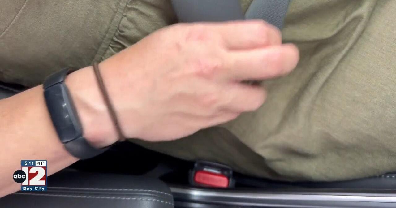 Michigan's 'Click It or Ticket' seat belt enforcement starts May 20 - Vimarsana News