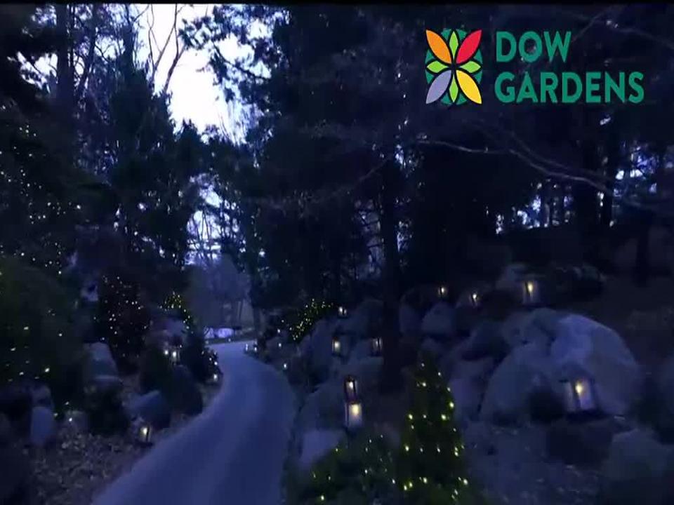 Dow Gardens Christmas Walk 2022 12 In Your Town: Dow Gardens Offers An Oasis In Midland | Good Morning  Mid-Michigan | Abc12.Com
