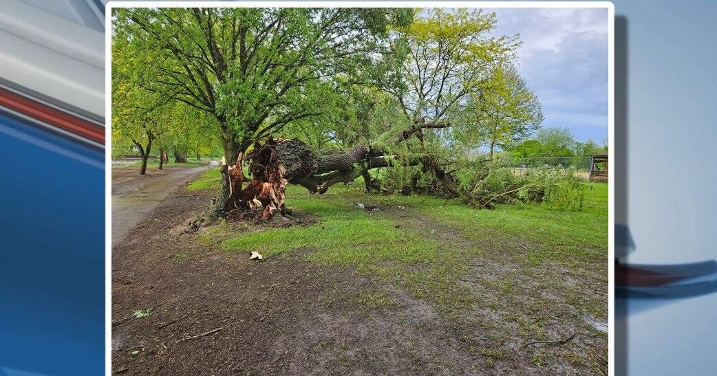 Strong winds leave thousands without power across Michigan on Monday