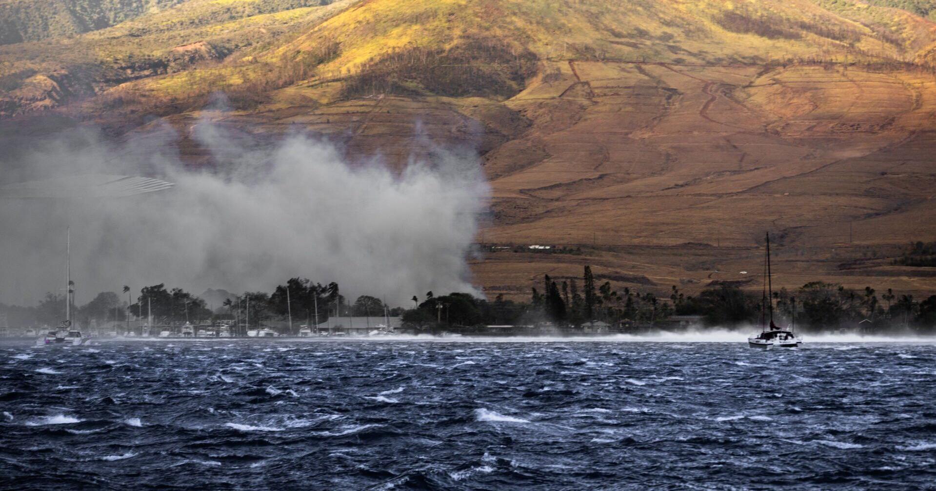 How to help those impacted by the Maui fires - Vimarsana News
