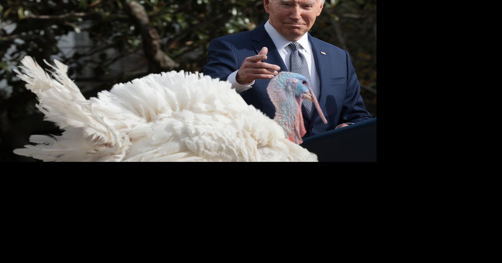 Biden set to use his pardon power Monday for Thanksgiving turkey ...